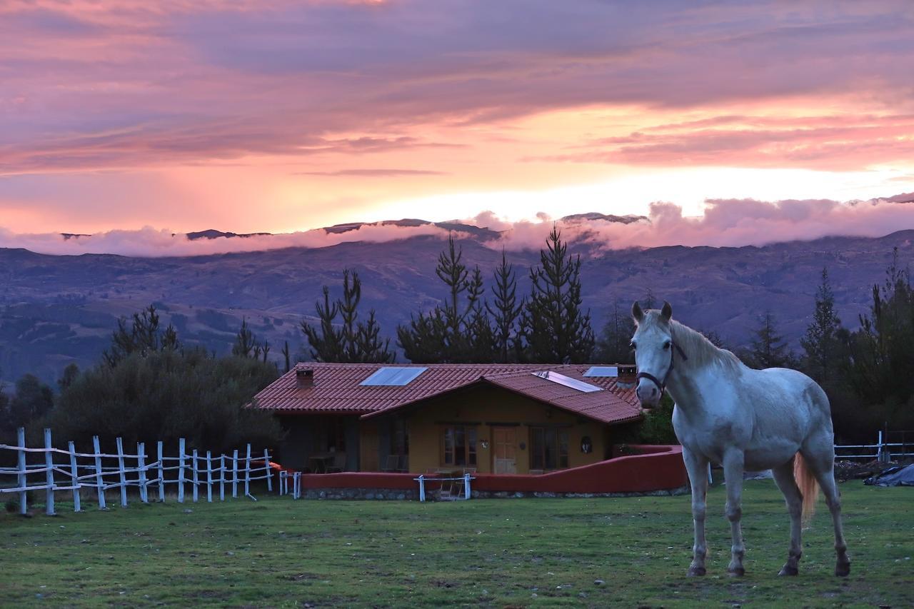 The Lazy Dog Inn A Mountain Lodge อัวรัซ ภายนอก รูปภาพ